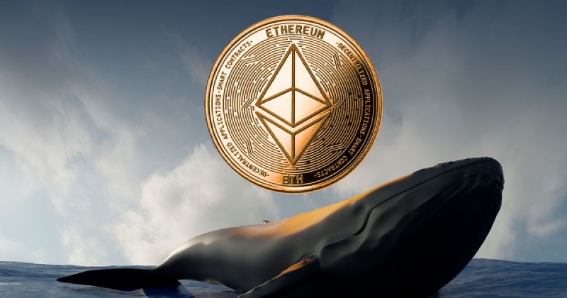 Богатейшие Ethereum-киты снова в прибыли, что произойдёт с ETH?
