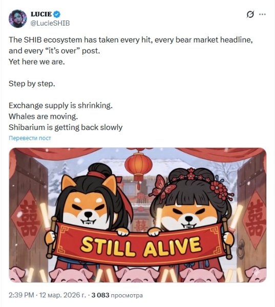 Сжигание 68 млн токенов SHIB немного повысило цену Shiba Inu