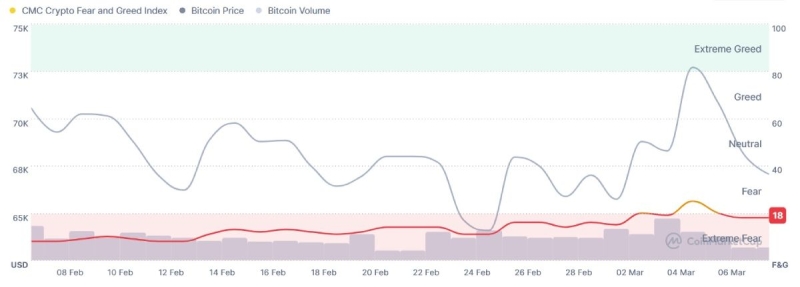 Трейдеры криптовалют пришли в ужас, поверив в прыжок дохлой кошки