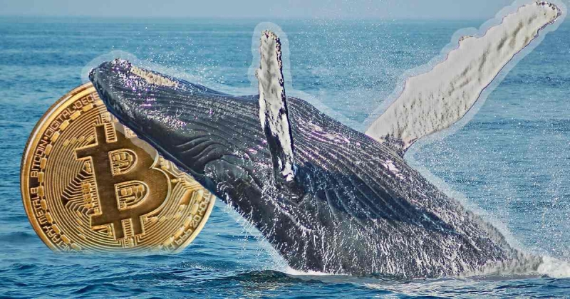 Старые киты мешают старту бычьего ралли на рынке биткоина