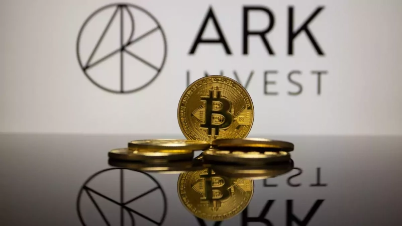 В Ark Invest считают, что к 2030 году капитализация биткоина достигнет трлн